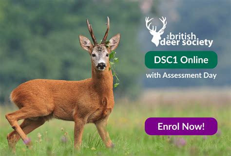 Recommended Deer Management Qualifications:。